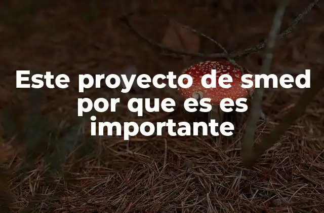 Este Proyecto de Smed por que es es Importante