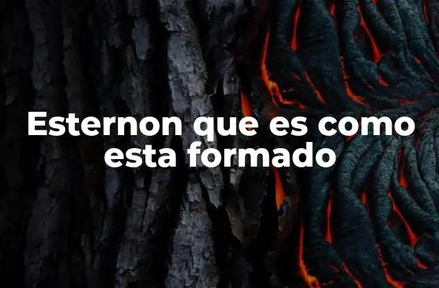 Esternon que es como Esta Formado