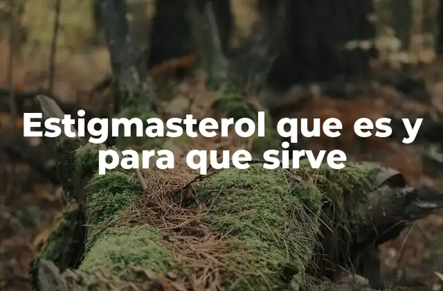 Estigmasterol que es y para que Sirve