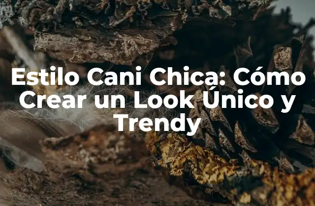 Estilo Cani Chica: Cómo Crear un Look Único y Trendy