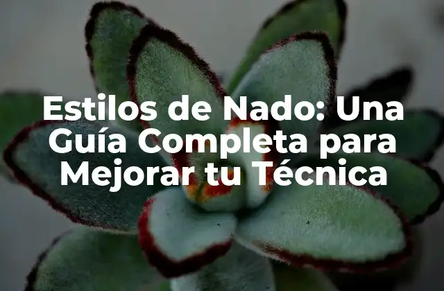 Estilos de Nado: una Guía Completa para Mejorar Tu Técnica