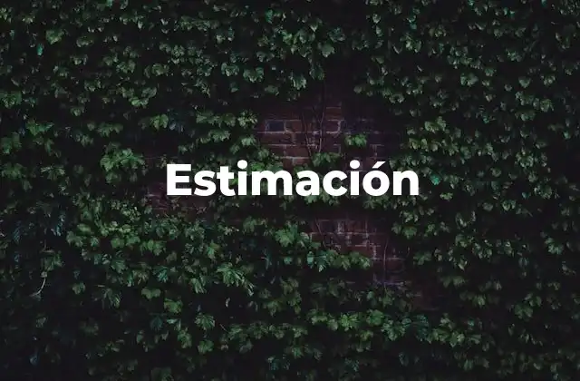 Estimación 2 La importancia de la estimación en la toma de decisiones