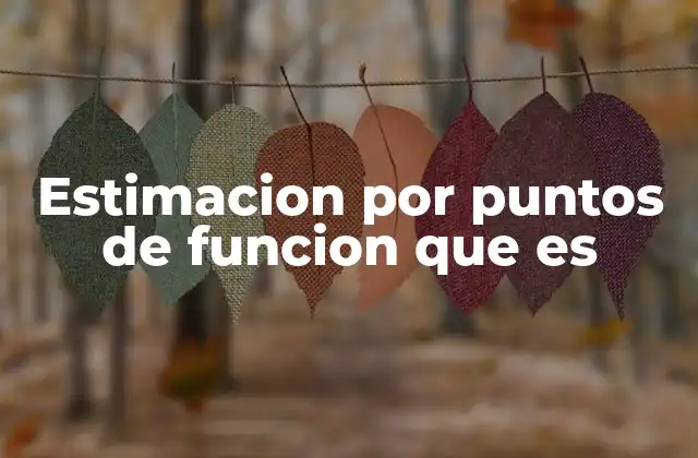 Estimacion por Puntos de Funcion que es