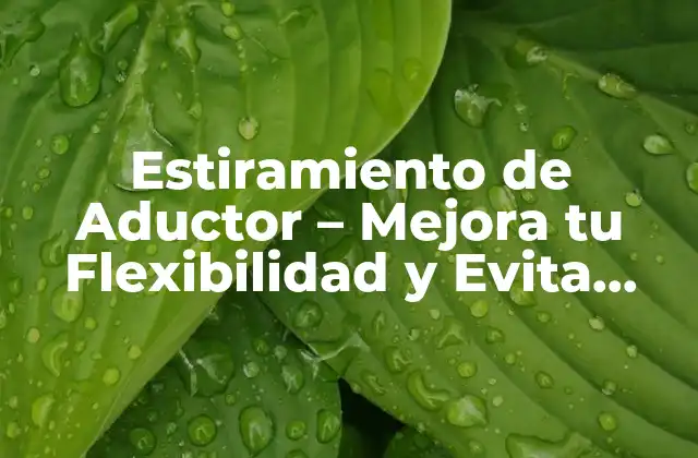 Estiramiento de Aductor - Mejora Tu Flexibilidad y Evita Lesiones 2 ¿Por qué es Importante el Estiramiento de Aductor?