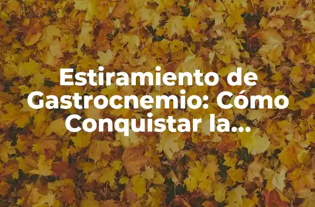 Estiramiento de Gastrocnemio: Cómo Conquistar la Flexibilidad en Tus Pantorrillas