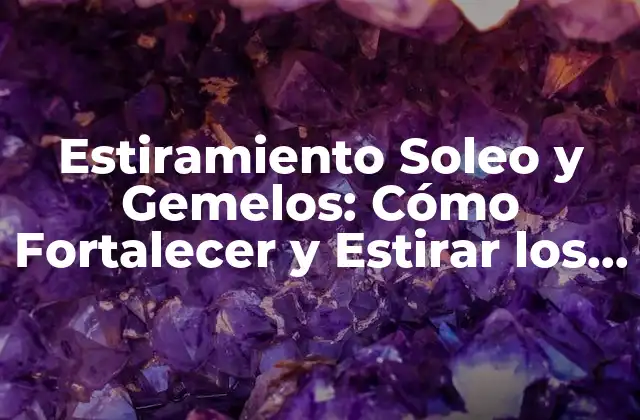 Estiramiento Soleo y Gemelos: Cómo Fortalecer y Estirar los Músculos de la Pierna