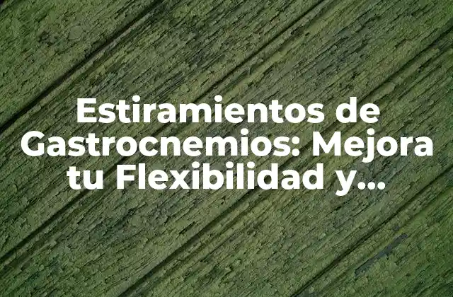Estiramientos de Gastrocnemios: Mejora Tu Flexibilidad y Reducir el Riesgo de Lesiones