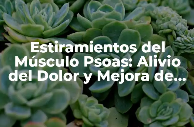 Estiramientos Del Músculo Psoas: Alivio Del Dolor y Mejora de la Flexibilidad