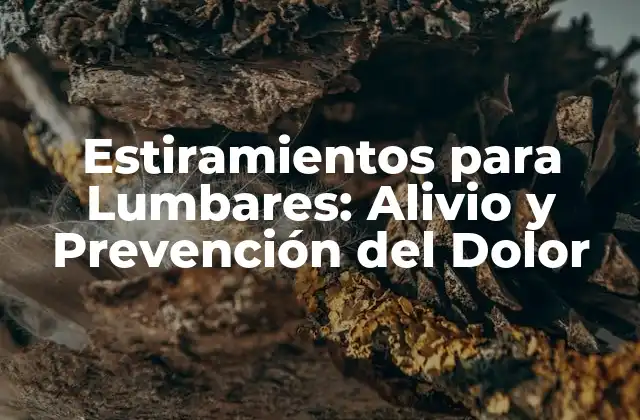 Estiramientos para Lumbares: Alivio y Prevención Del Dolor