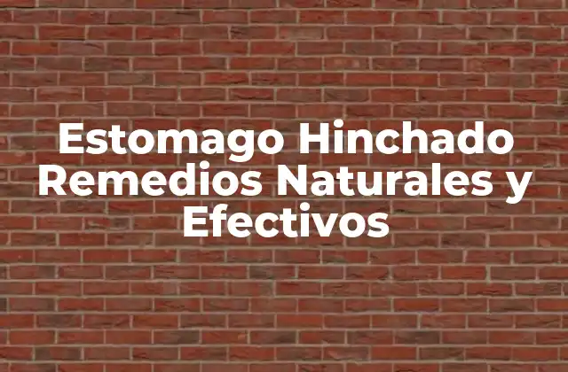 Estomago Hinchado Remedios Naturales y Efectivos 2 ¿Qué Causa el Estomago Hinchado?