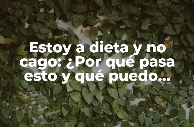 Estoy a Dieta y No Cago: ¿por Qué Pasa Esto y Qué Puedo Hacer?