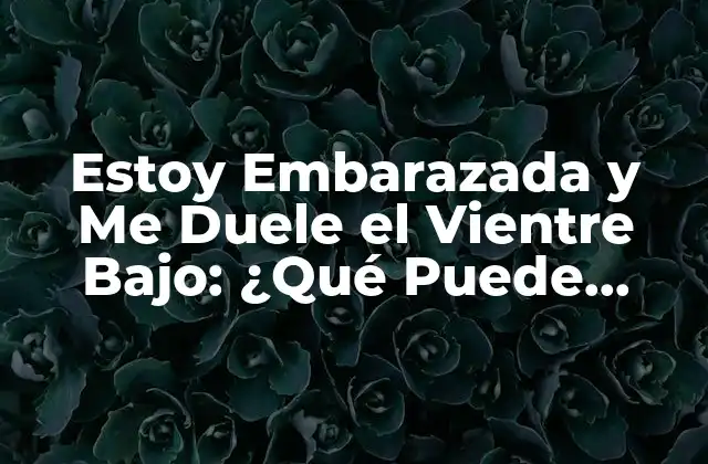 Estoy Embarazada y Me Duele el Vientre Bajo: ¿qué Puede Causar Este Dolor?