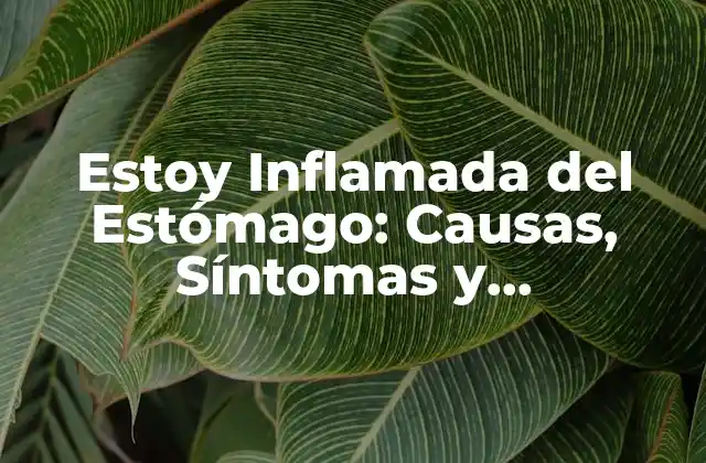 Causas de la Inflamación del Estómago