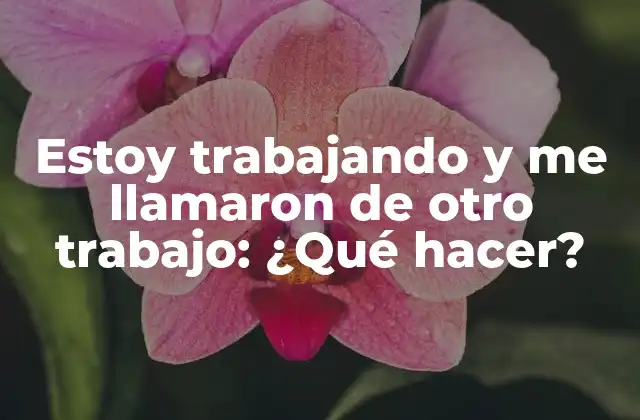 Estoy Trabajando y Me Llamaron de Otro Trabajo: ¿qué Hacer?