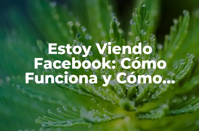 Estoy Viendo Facebook: Cómo Funciona y Cómo Proteger Tu Privacidad