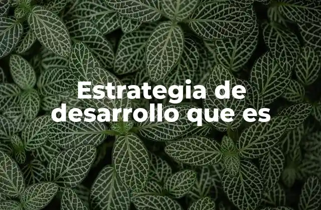 Estrategia de Desarrollo que es