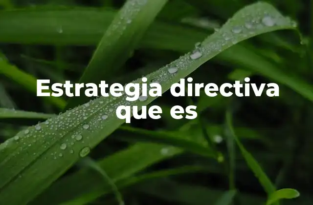 Estrategia Directiva que es