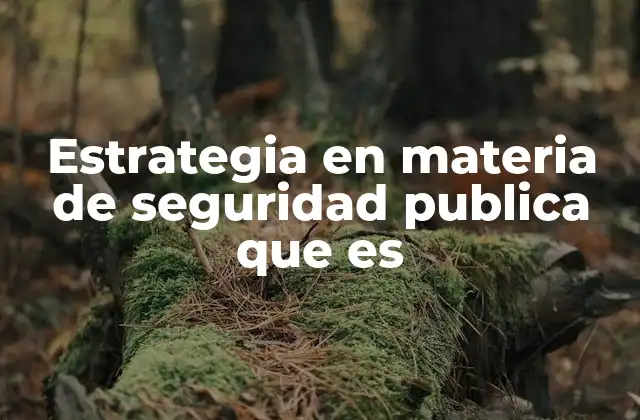 Estrategia en Materia de Seguridad Publica que es