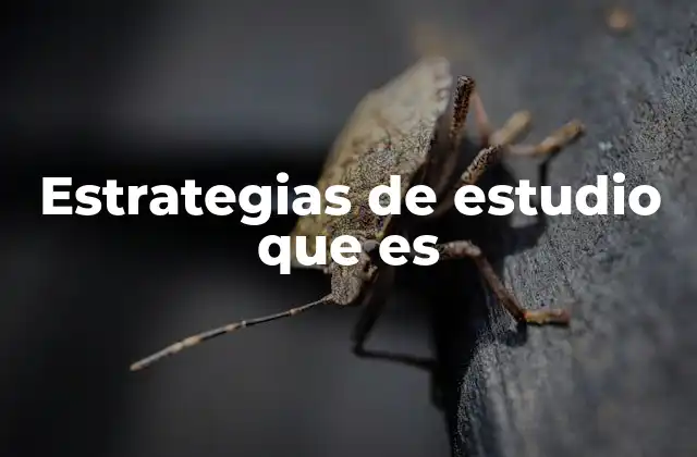 Estrategias de Estudio que es