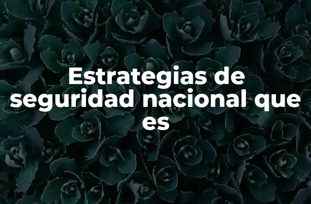 Estrategias de Seguridad Nacional que es