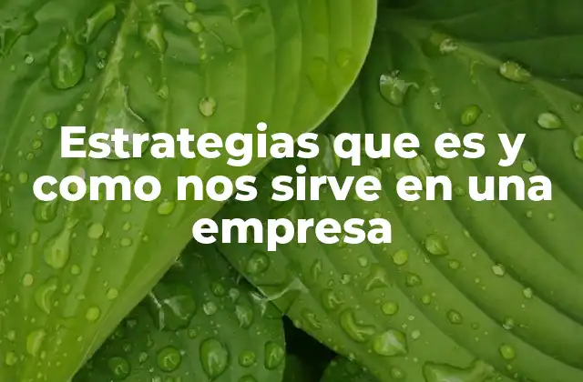 Estrategias que es y como Nos Sirve en una Empresa