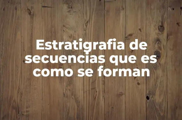 Estratigrafia de Secuencias que es como Se Forman 2 La formación de capas rocosas a través del tiempo