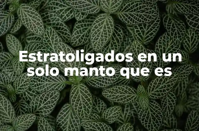 Estratoligados en un Solo Manto que es