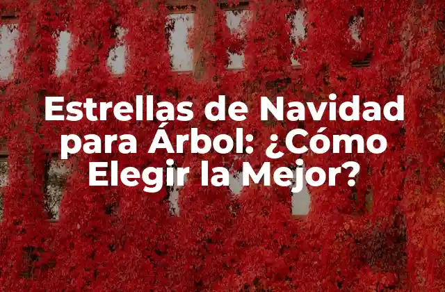 Estrellas de Navidad para Árbol: ¿cómo Elegir la Mejor?