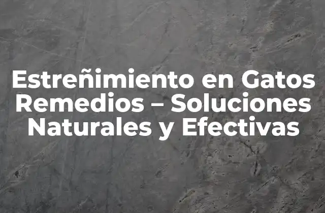 Estreñimiento en Gatos Remedios – Soluciones Naturales y Efectivas