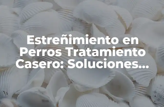 Estreñimiento en Perros Tratamiento Casero: Soluciones Naturales y Eficientes