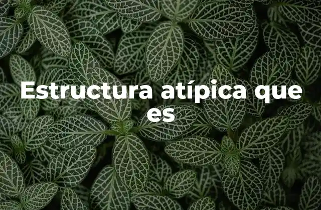 Estructura Atípica que es