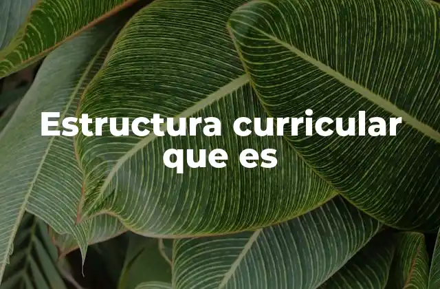Estructura Curricular que es