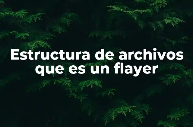 Estructura de Archivos que es un Flayer