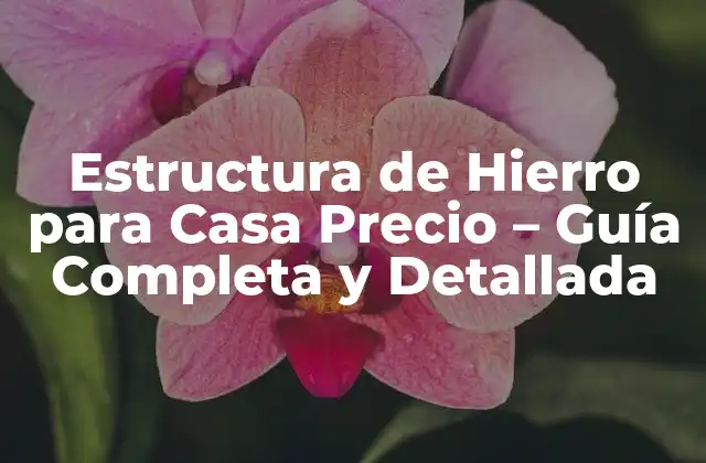 Estructura de Hierro para Casa Precio – Guía Completa y Detallada