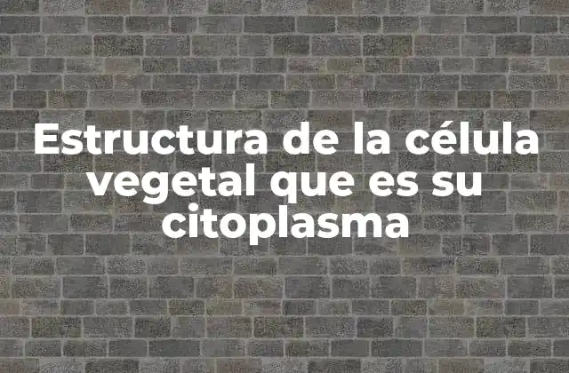 Estructura de la Célula Vegetal que es Su Citoplasma