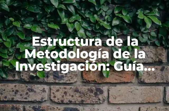 Estructura de la Metodología de la Investigación: Guía Completa y Detallada
