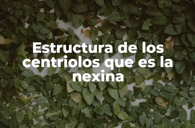 Estructura de los Centriolos que es la Nexina