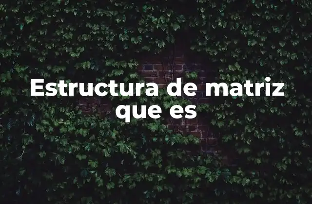 Cómo se organiza la información en una estructura matricial