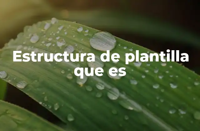 Estructura de Plantilla que es