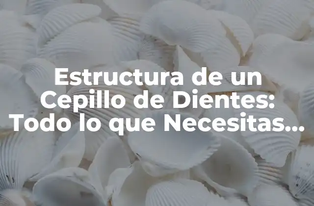 Partes Principales de un Cepillo de Dientes