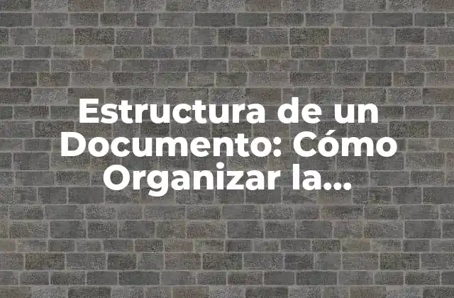 Estructura de un Documento: Cómo Organizar la Información de Forma Efectiva