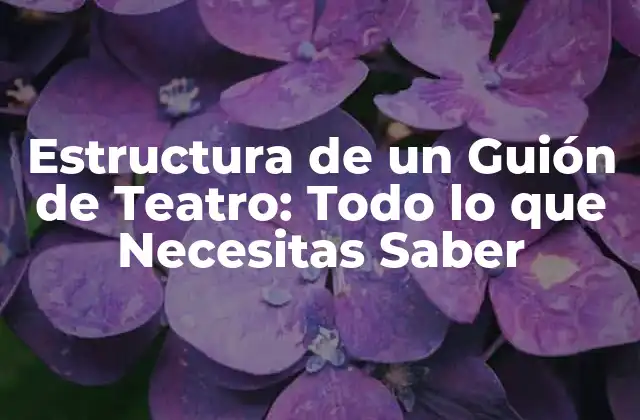 Estructura de un Guión de Teatro: Todo Lo que Necesitas Saber