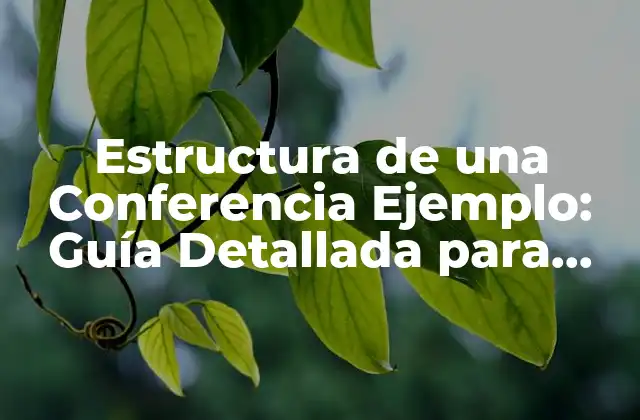 Estructura de una Conferencia Ejemplo: Guía Detallada para Organizar un Evento Exitoso