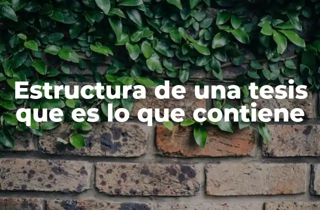 Estructura de una Tesis que es Lo que Contiene