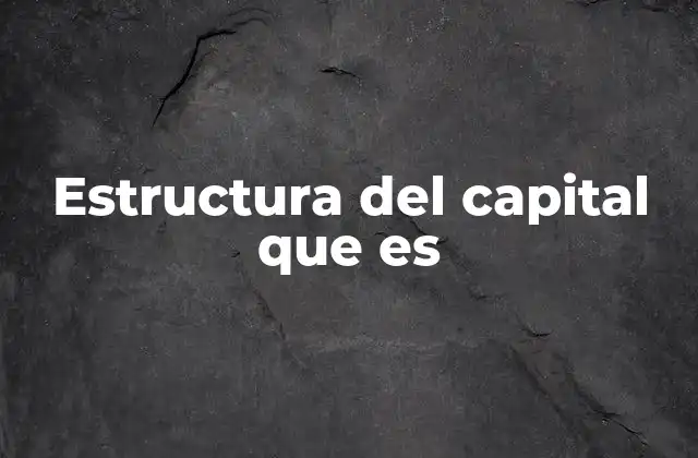 Estructura Del Capital que es