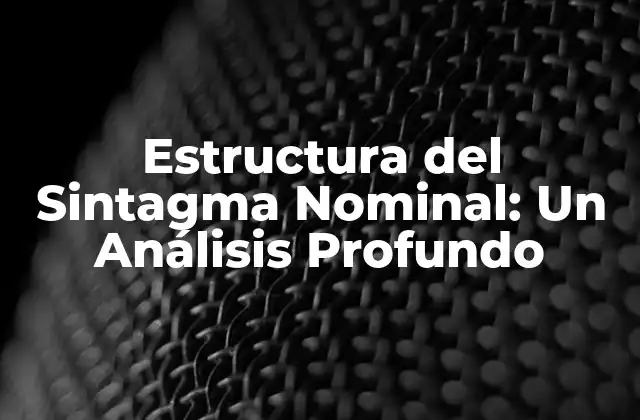 Estructura Del Sintagma Nominal: un Análisis Profundo