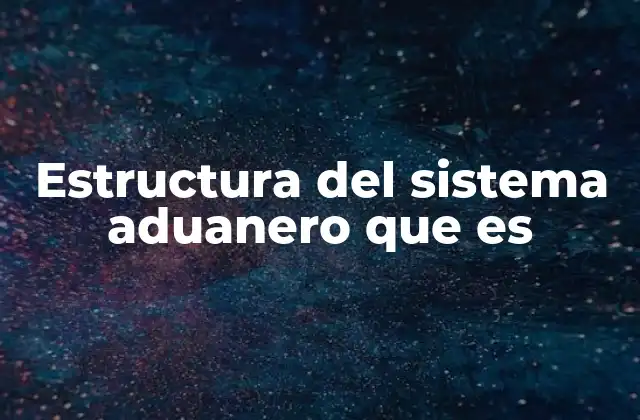 Estructura Del Sistema Aduanero que es