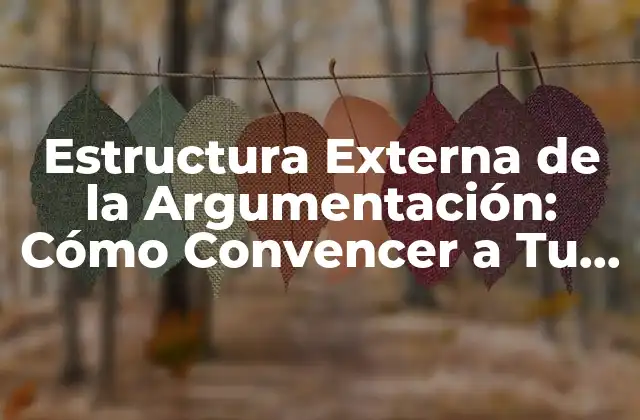 Estructura Externa de la Argumentación: Cómo Convencer a Tu Público