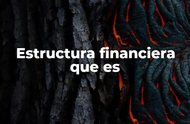 Estructura Financiera que es