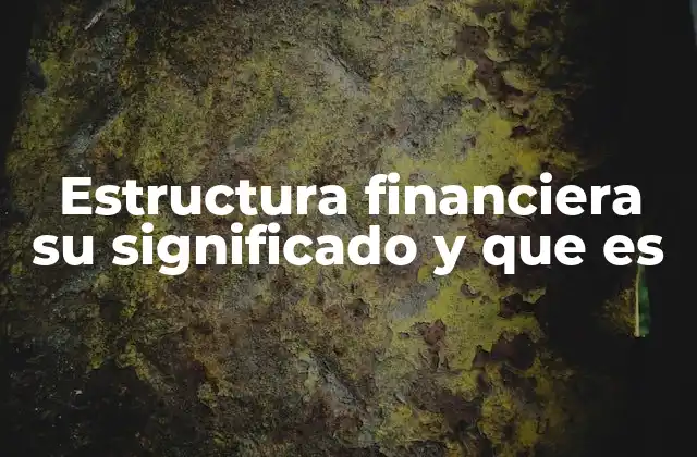 Estructura Financiera Su Significado y que es